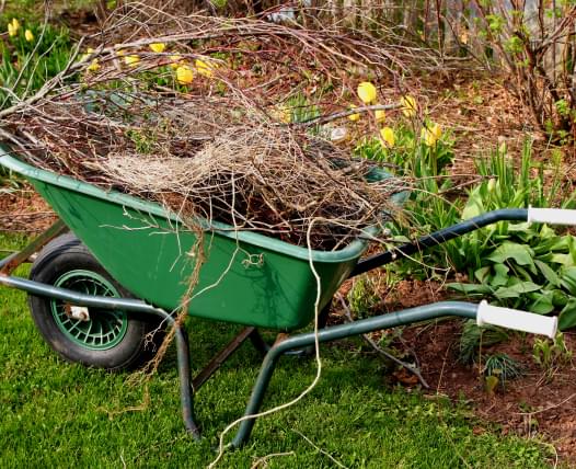 Skylight Tree Services