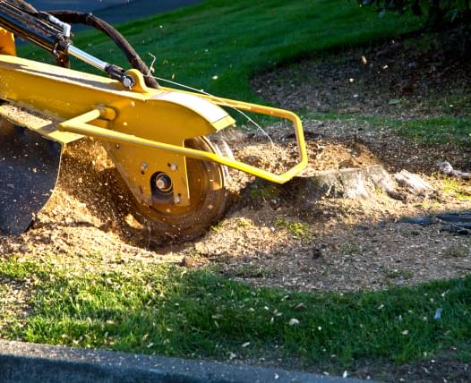 Skylight Tree Services